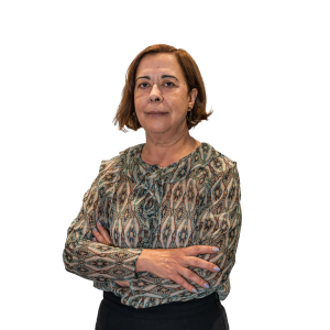 Foto - Amélia Carvalho